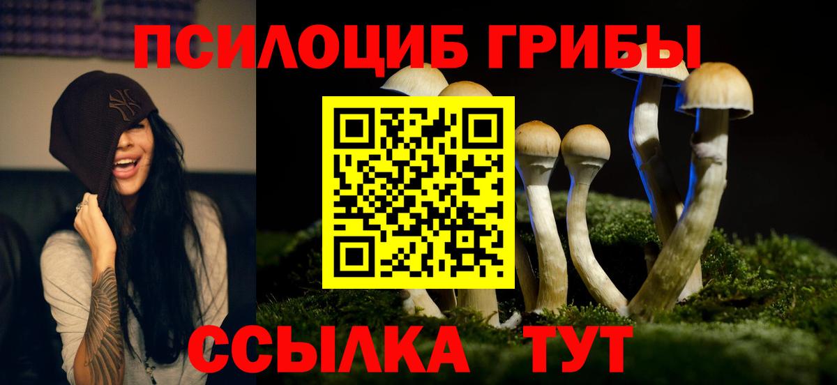 Галлюциногенные грибы Magic Shrooms Калининград